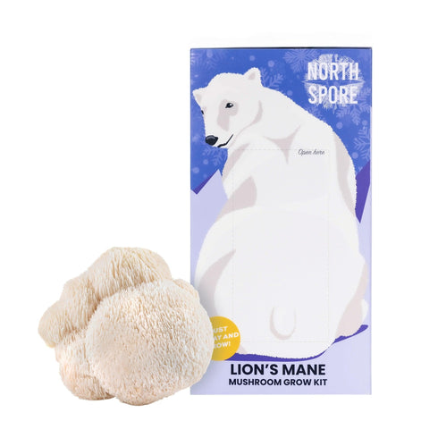 Organic Lion's Mane ‘Spray & Grow’ Polar Bear Mushroom Growing Kit